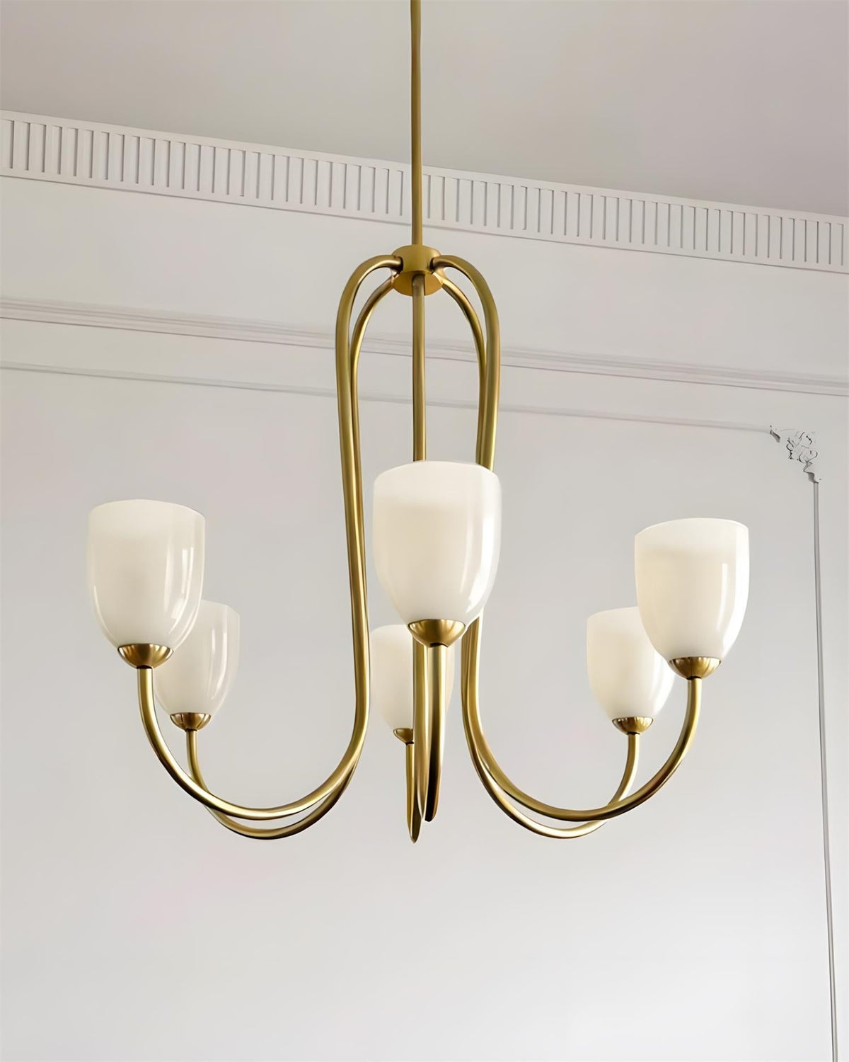 Lustre Orelinena Velin