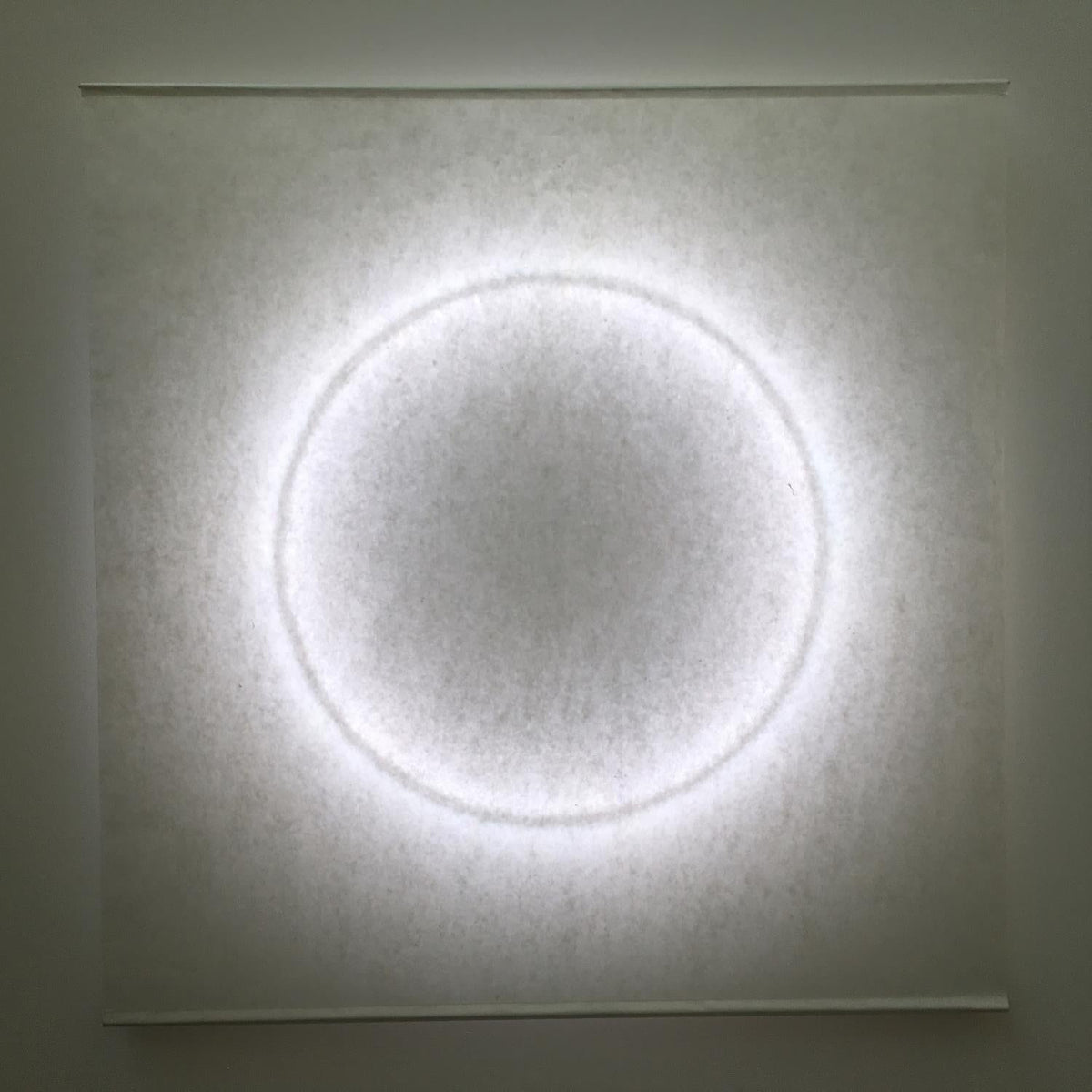 Viraiella Wall Light