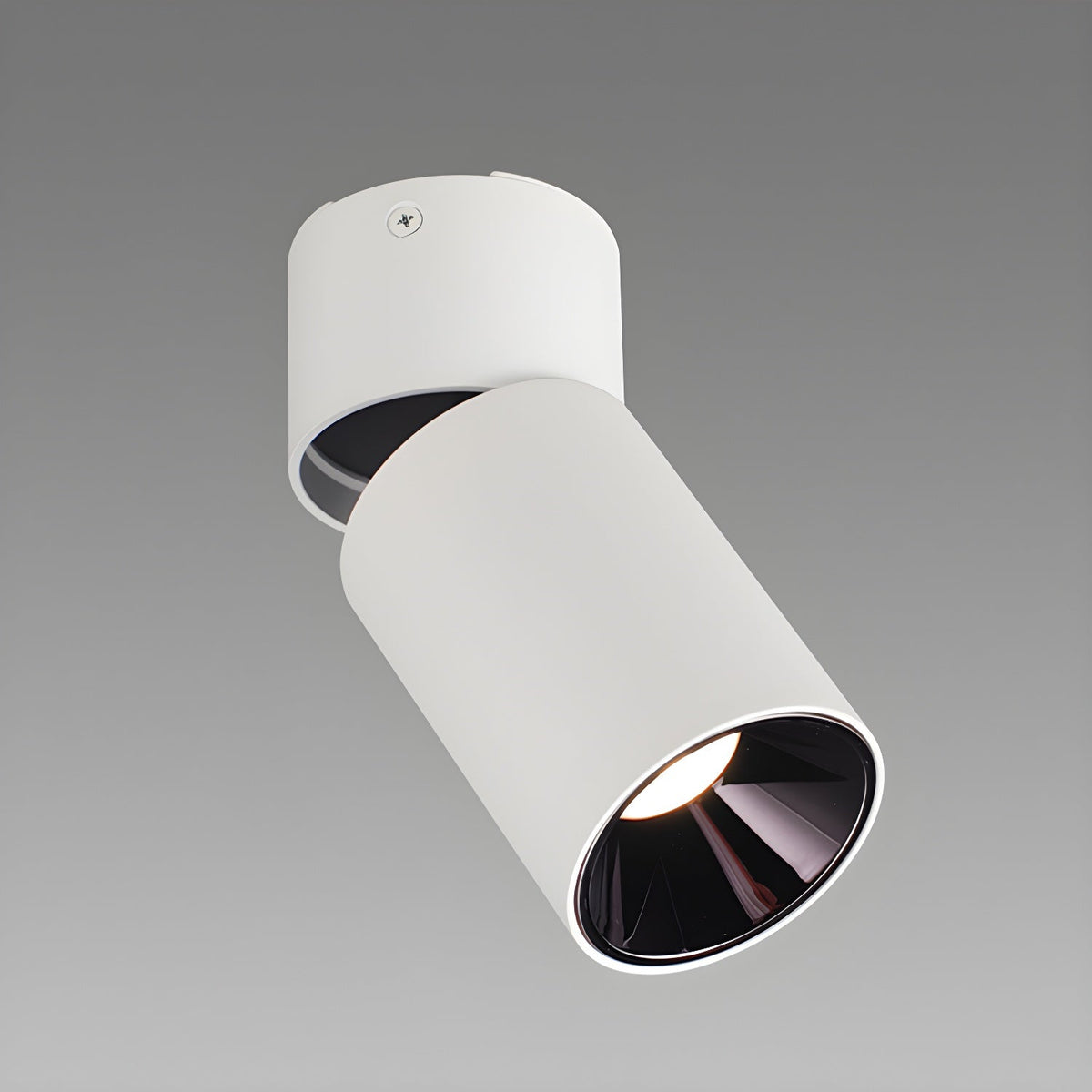 Colven Classic Tube utanpåliggande takspotlight Taklampa