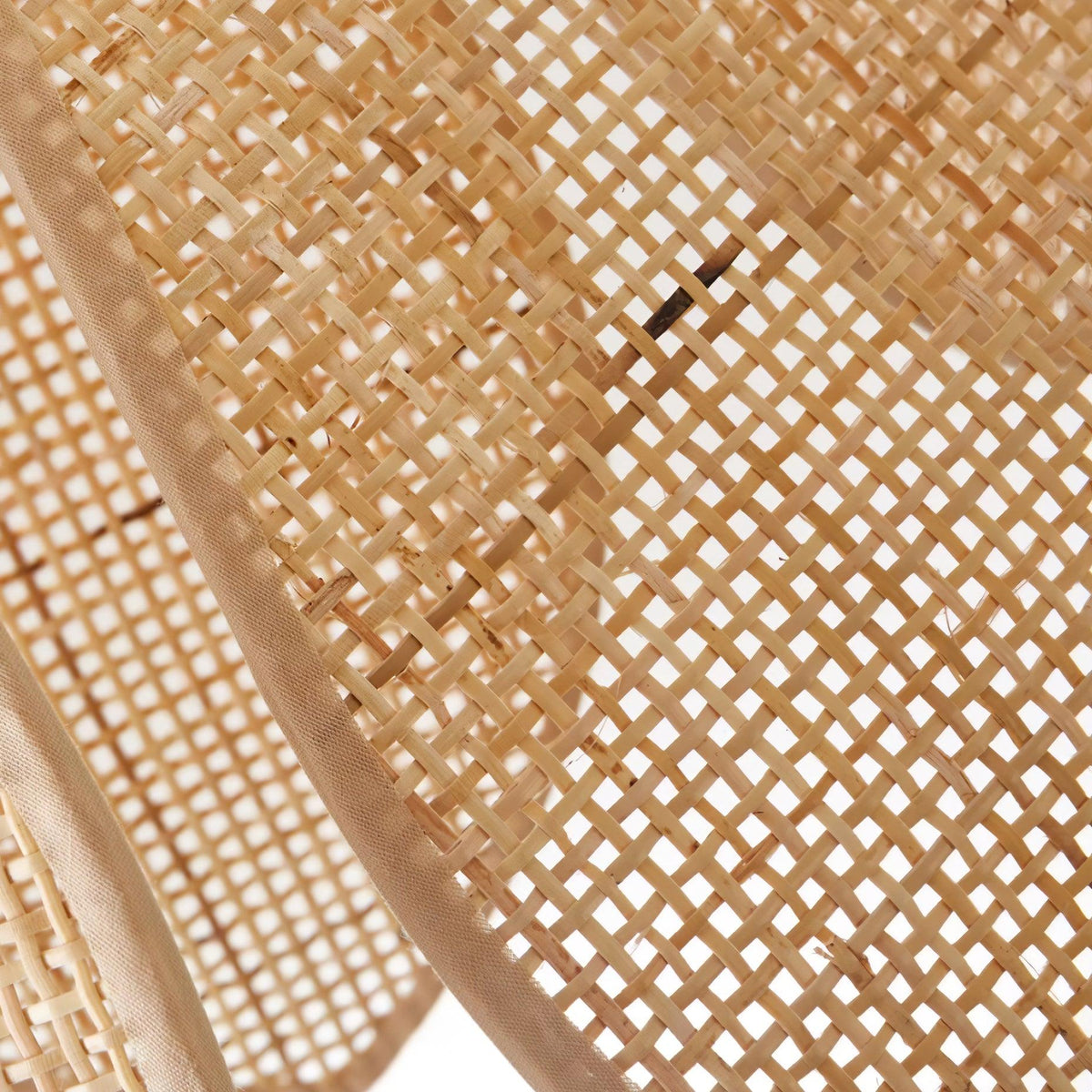Calalia pendellampa