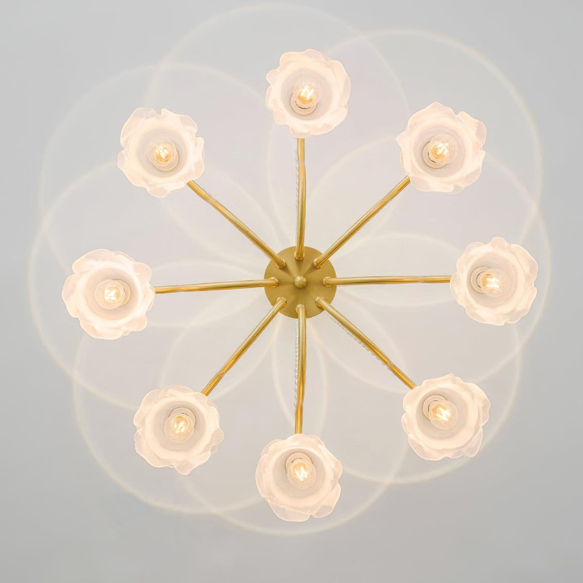 Lustre Deland