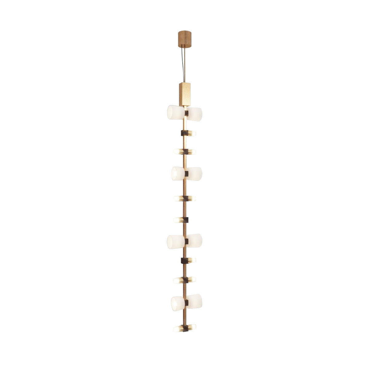 Rivisise-riippuvalaisin