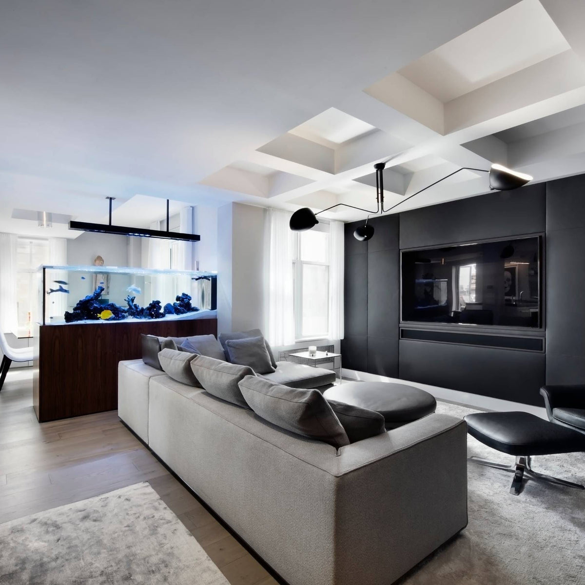 Renuelle Ceiling Light Three Arm Minimalist