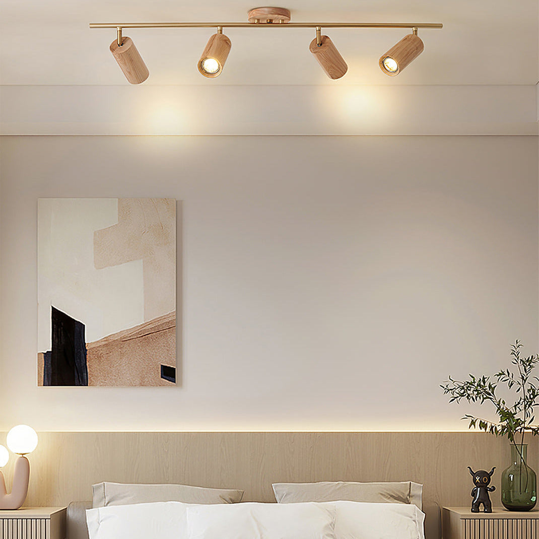 Arthur Ceiling Light Spotlight