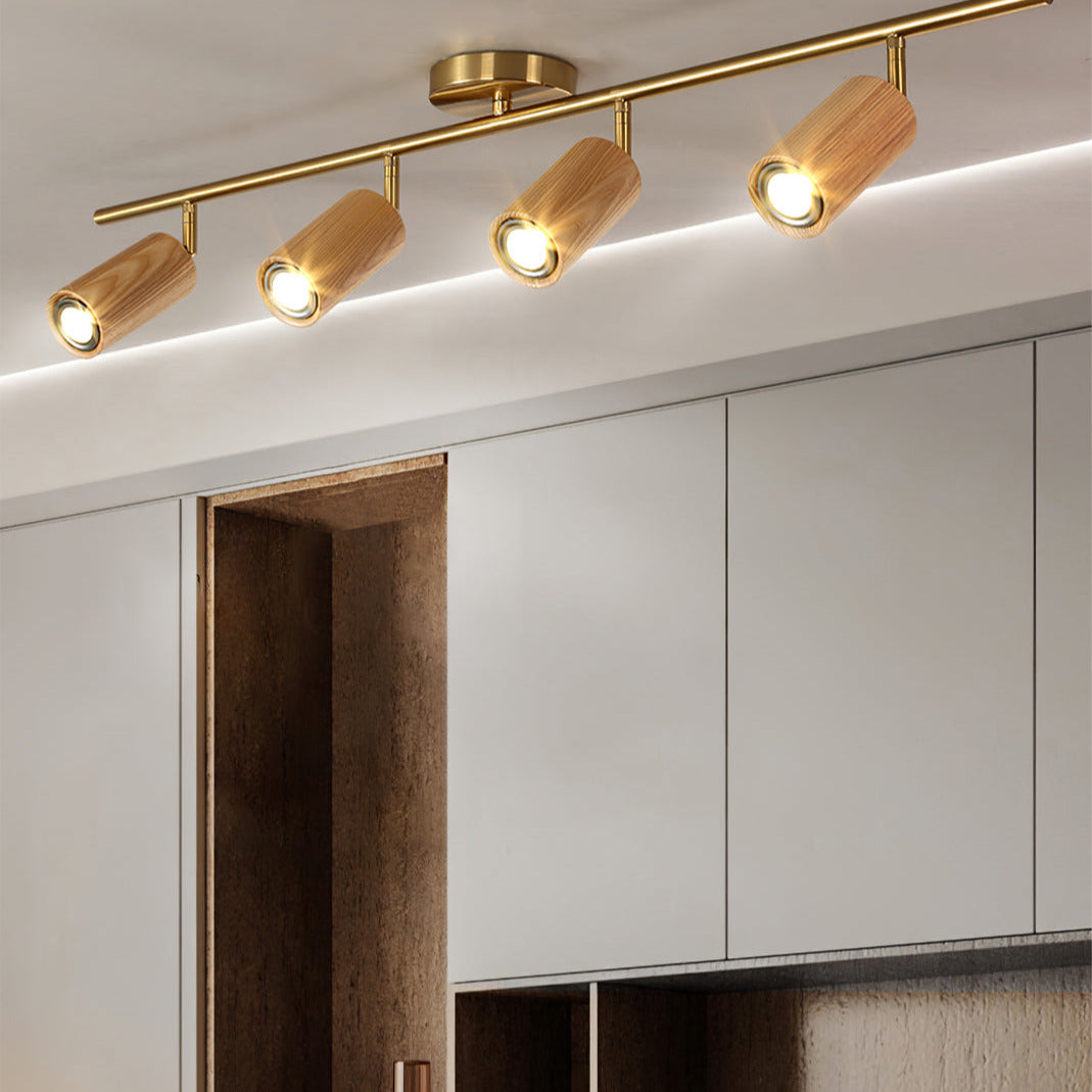 Arthur Ceiling Light Spotlight