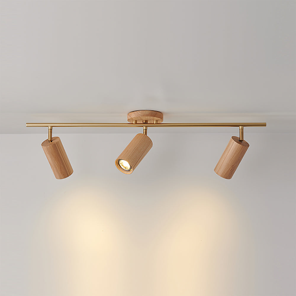 Arthur Ceiling Light Spotlight
