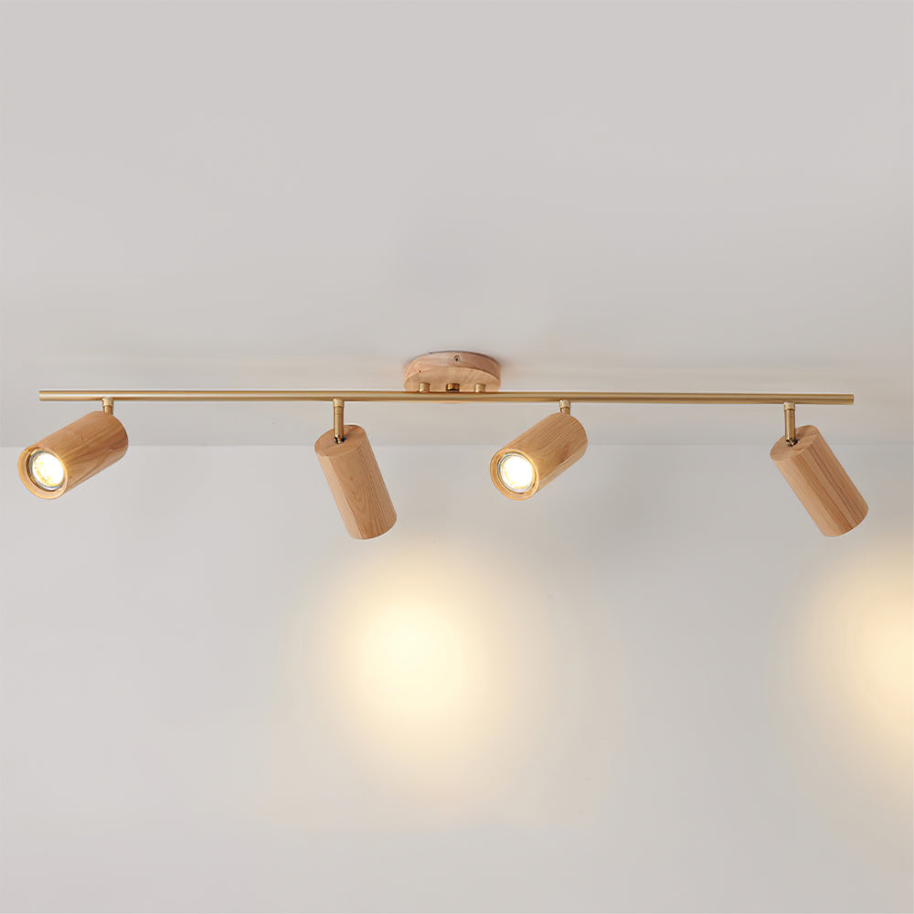 Arthur Ceiling Light Spotlight