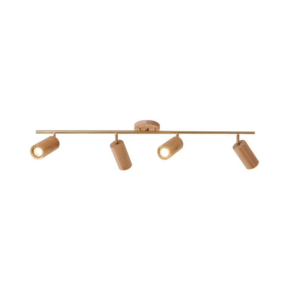 Arthur Ceiling Light Spotlight