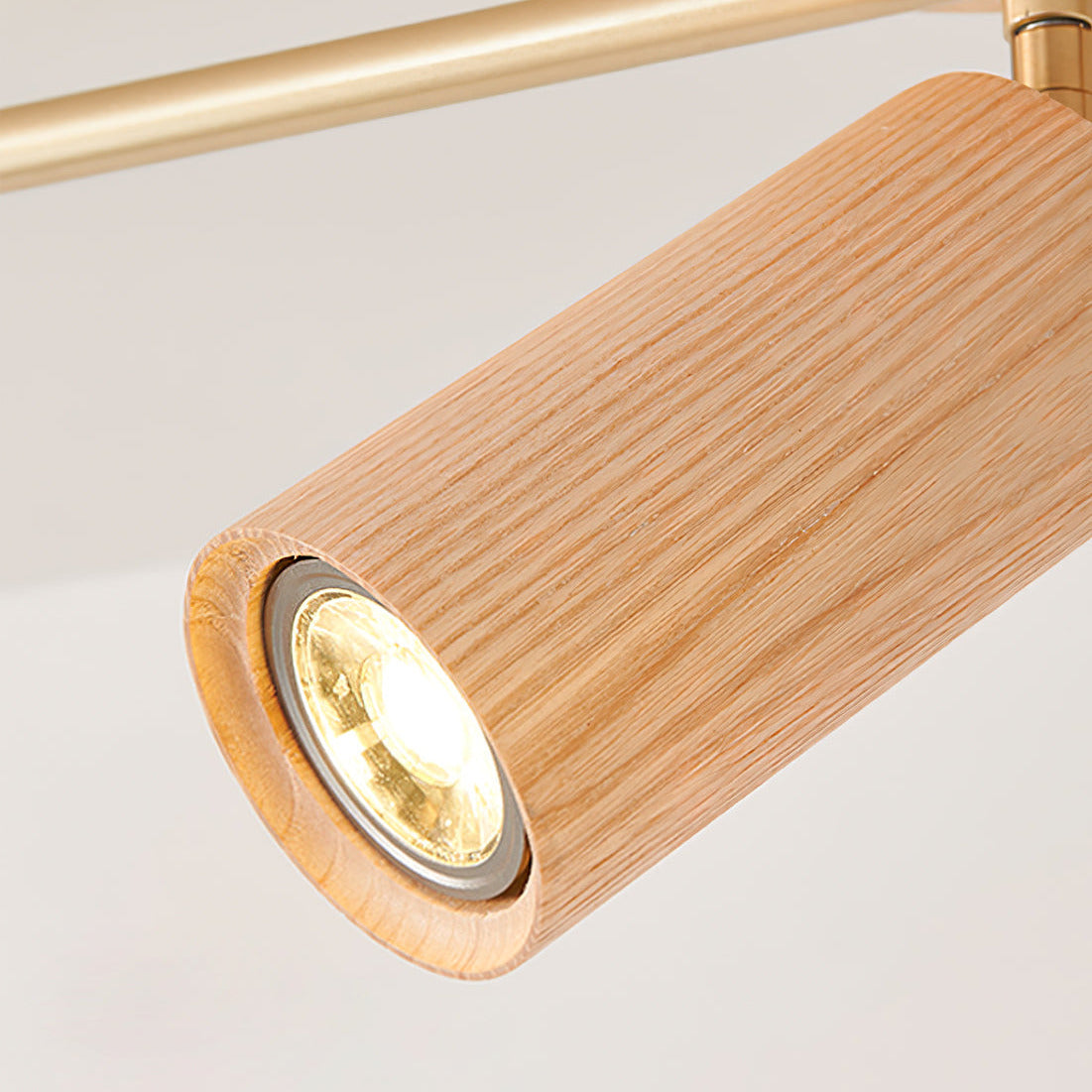 Arthur Ceiling Light Spotlight