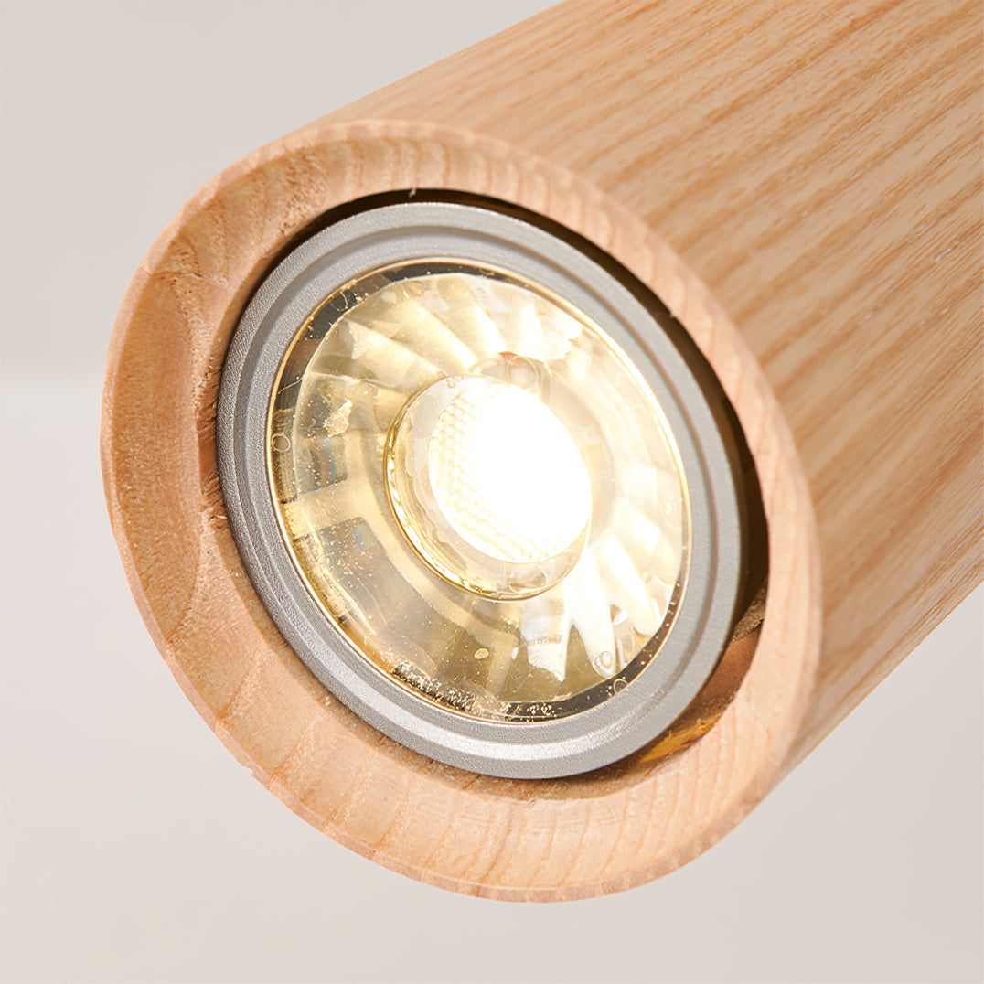 Arthur Ceiling Light Spotlight