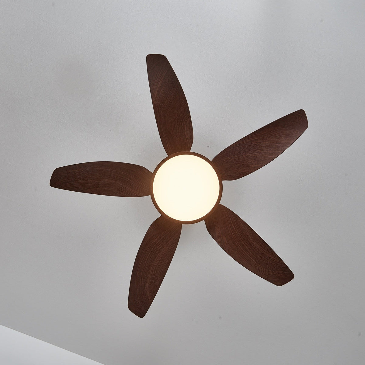 Sylenel moderne loftsventilator med lys i træ og messing