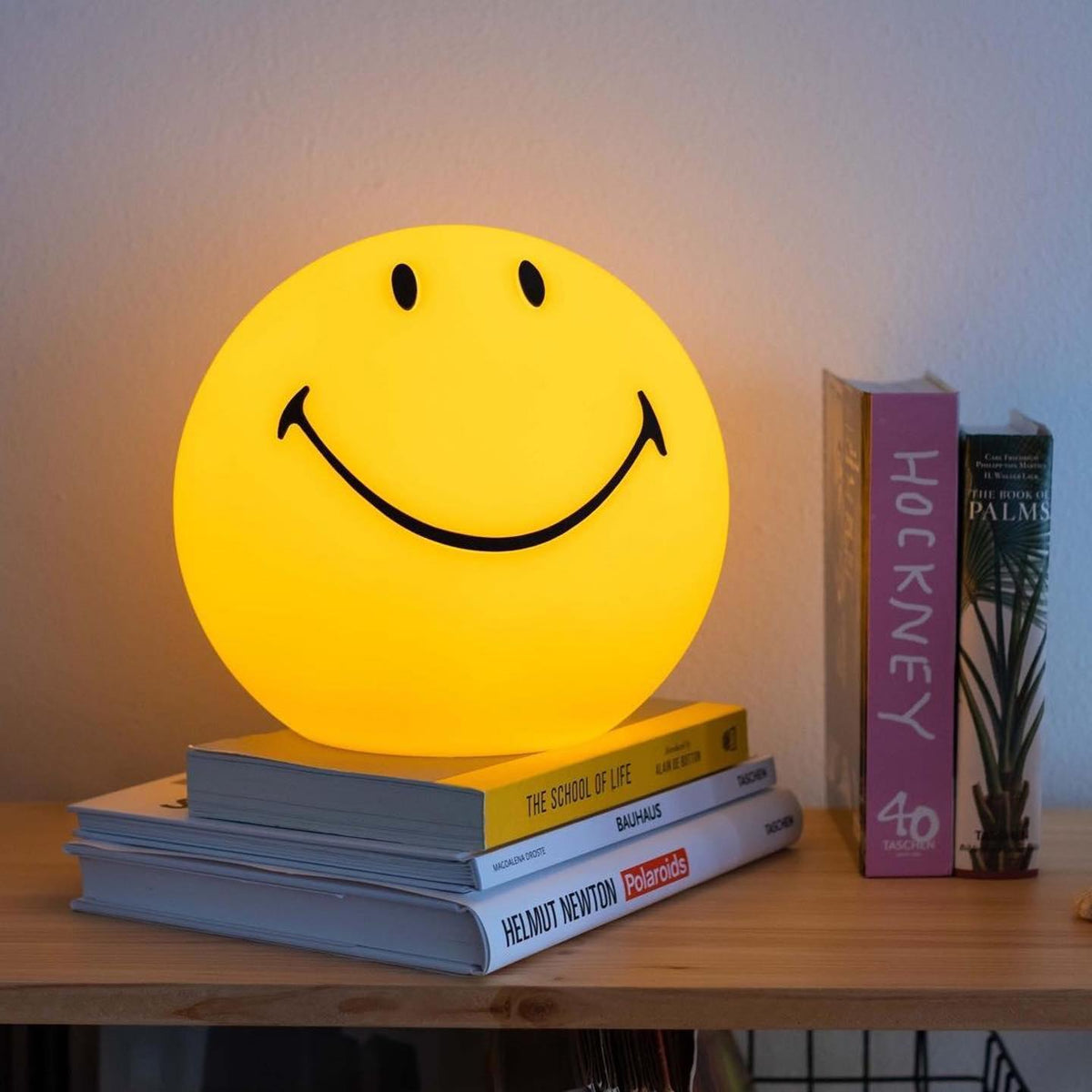 Rymt finurlig bordlampe i plast
