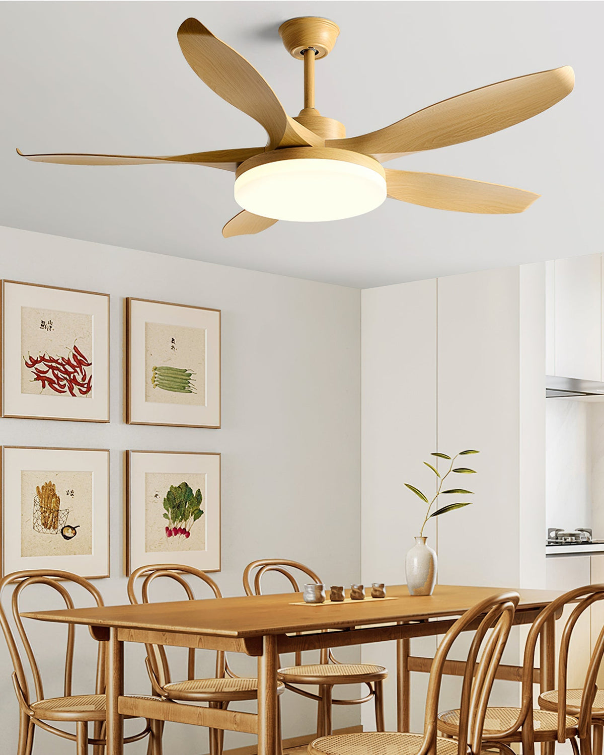 Liororeria Ceiling Fan Light