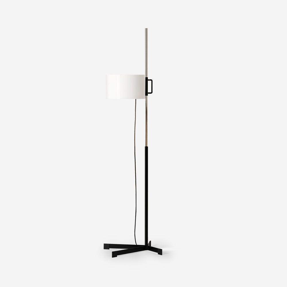 Reniselia Floor Lamp
