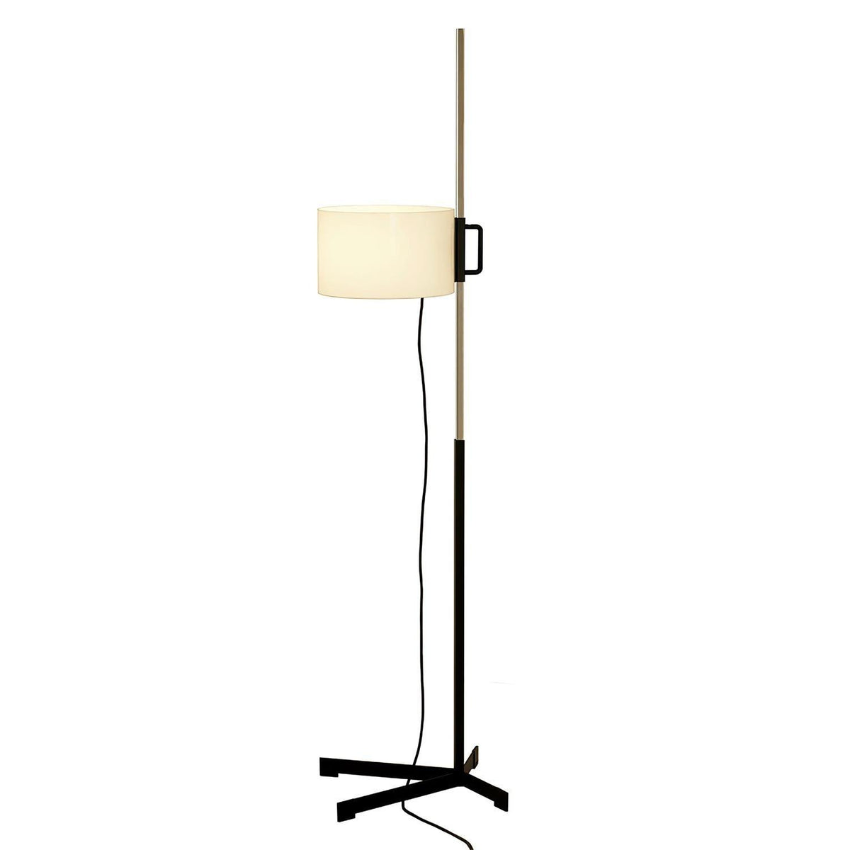 Reniselia Floor Lamp