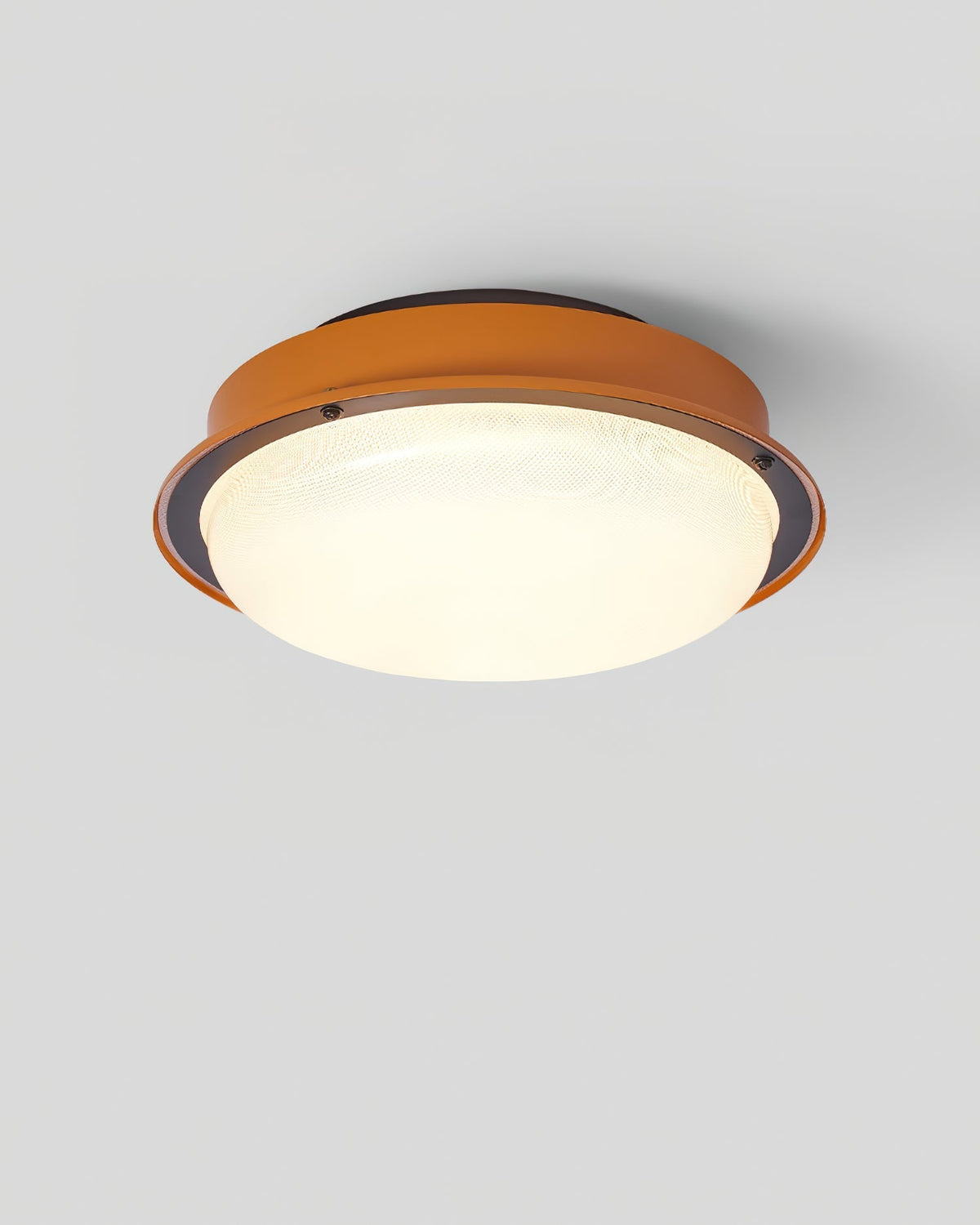 Orelelel Flush Mount Ceiling Lamp