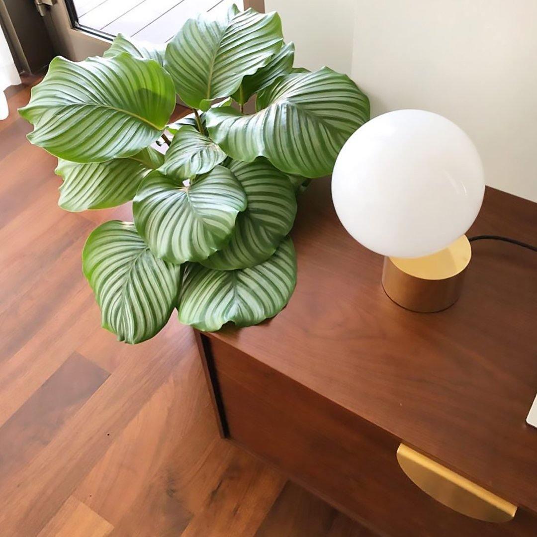 Candeeiro de mesa Eiraella industrial em vidro