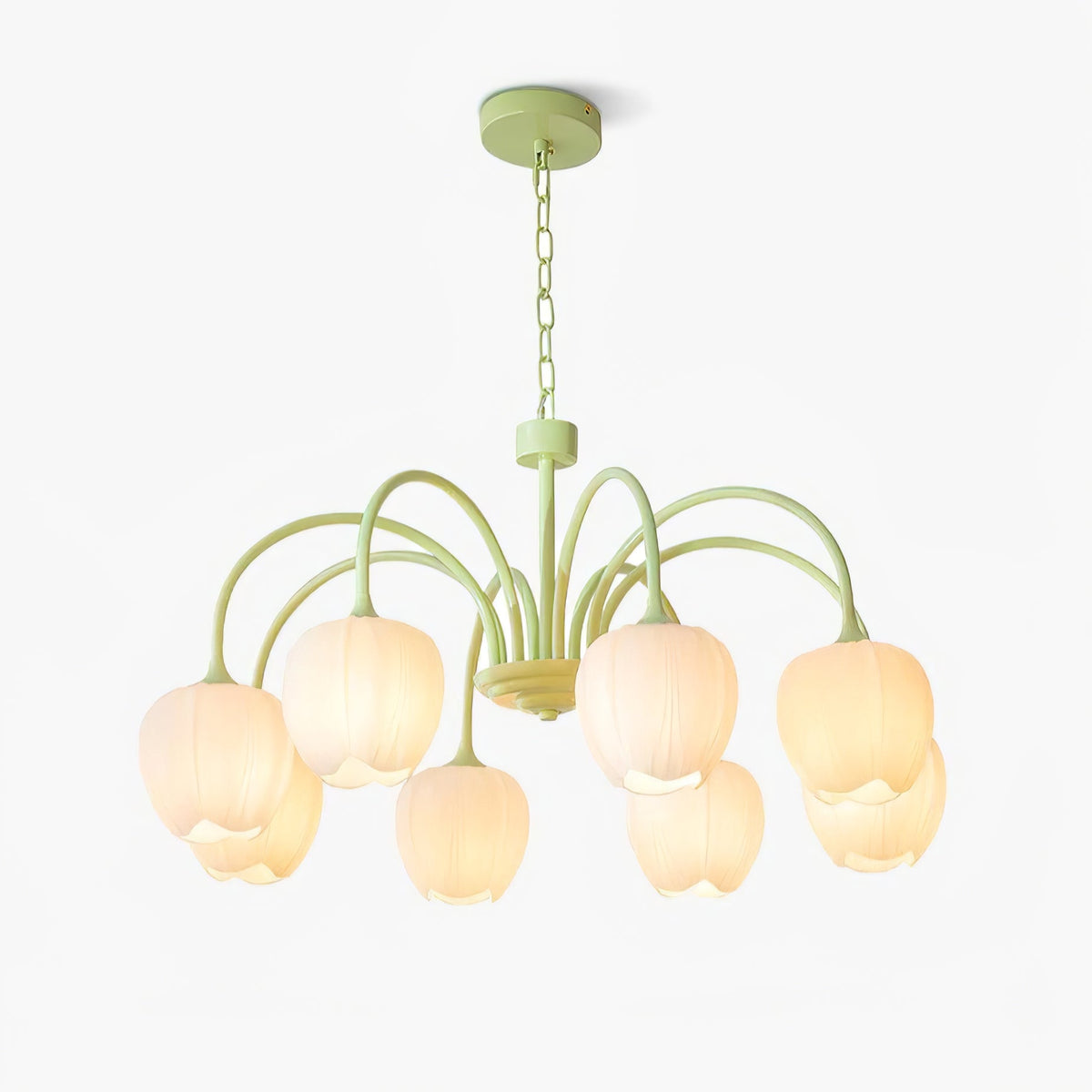 Tulip friske lysekroner i glas