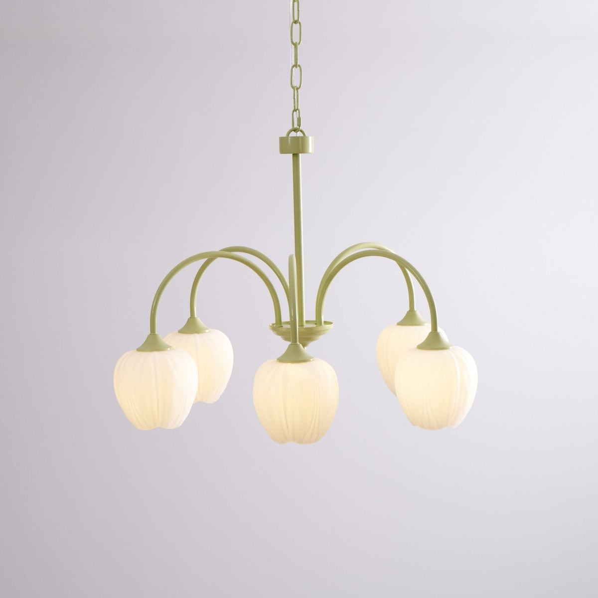 Tulip friske lysekroner i glas