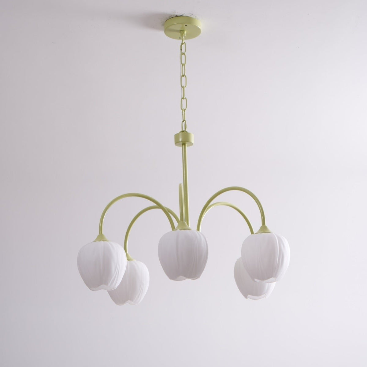 Tulip friske lysekroner i glas