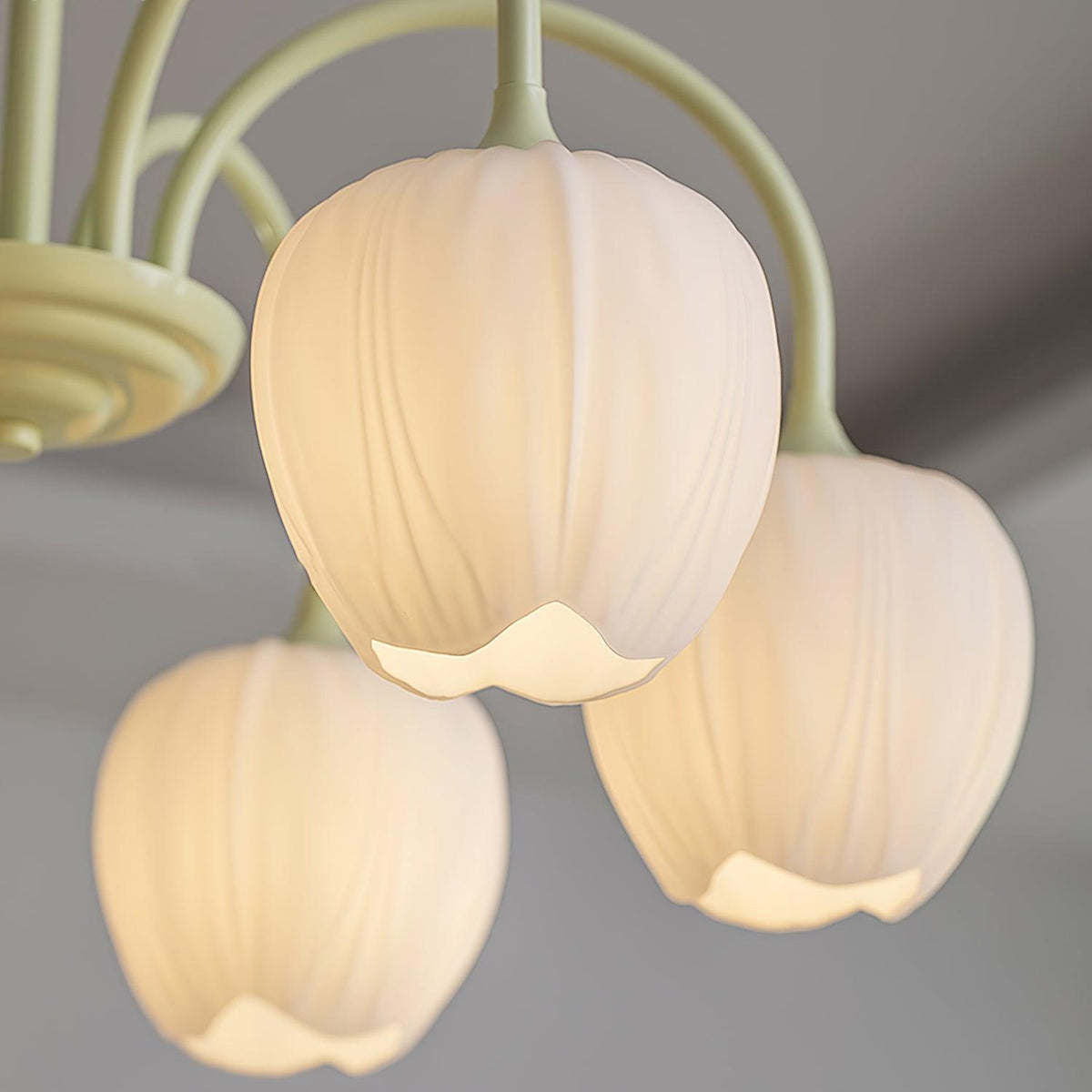Tulip friske lysekroner i glas