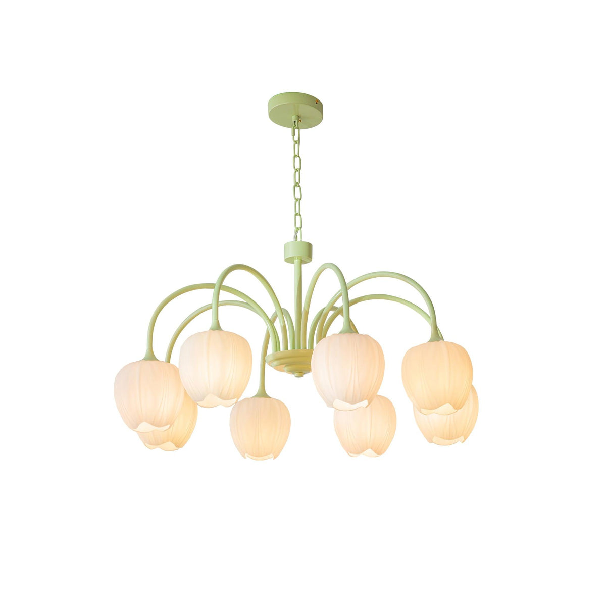 Tulip friske lysekroner i glas