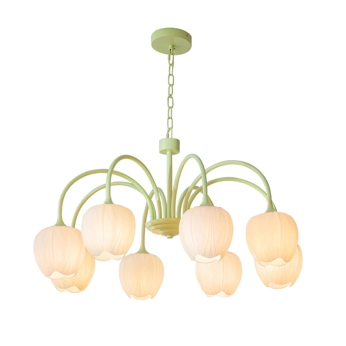Tulip friske lysekroner i glas