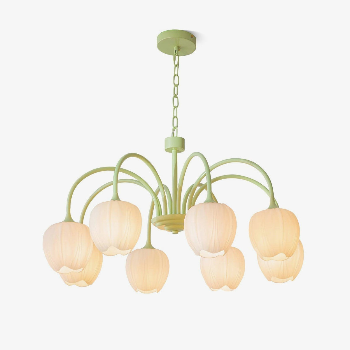 Tulip friske lysekroner i glas