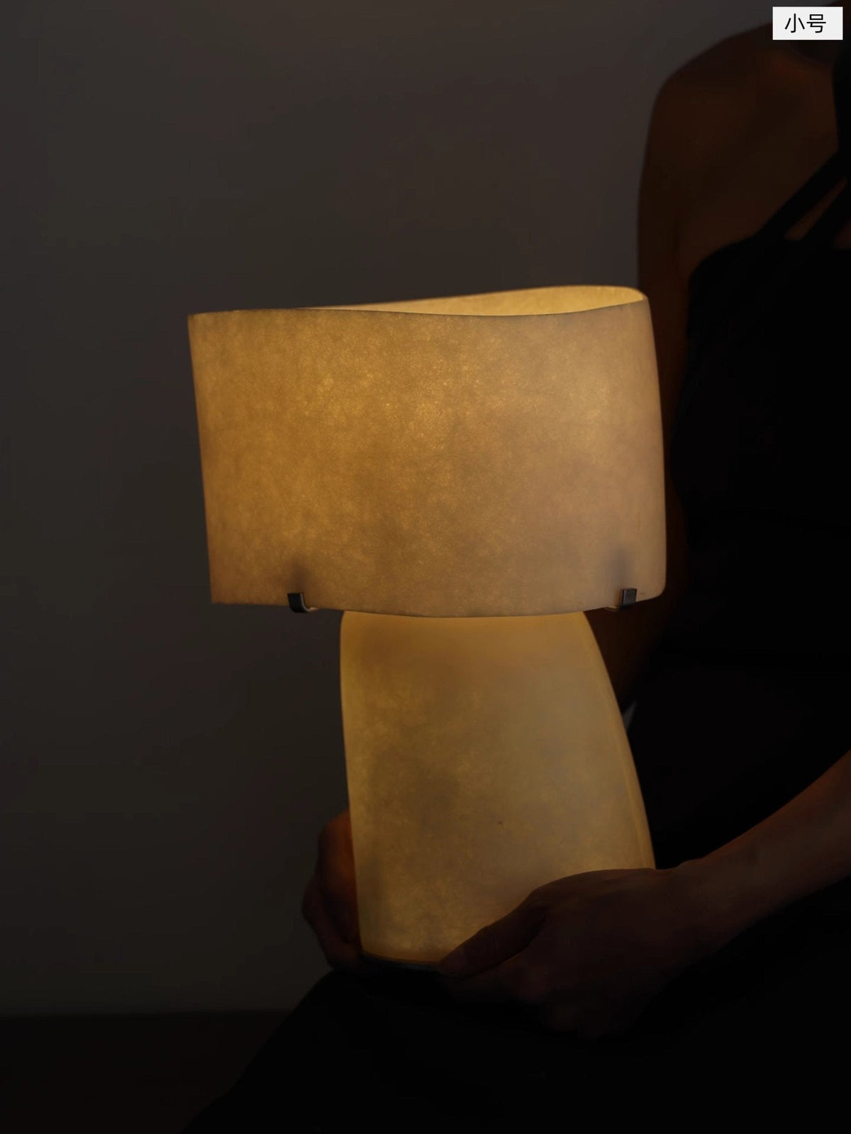 Lirvyn-bordlampe
