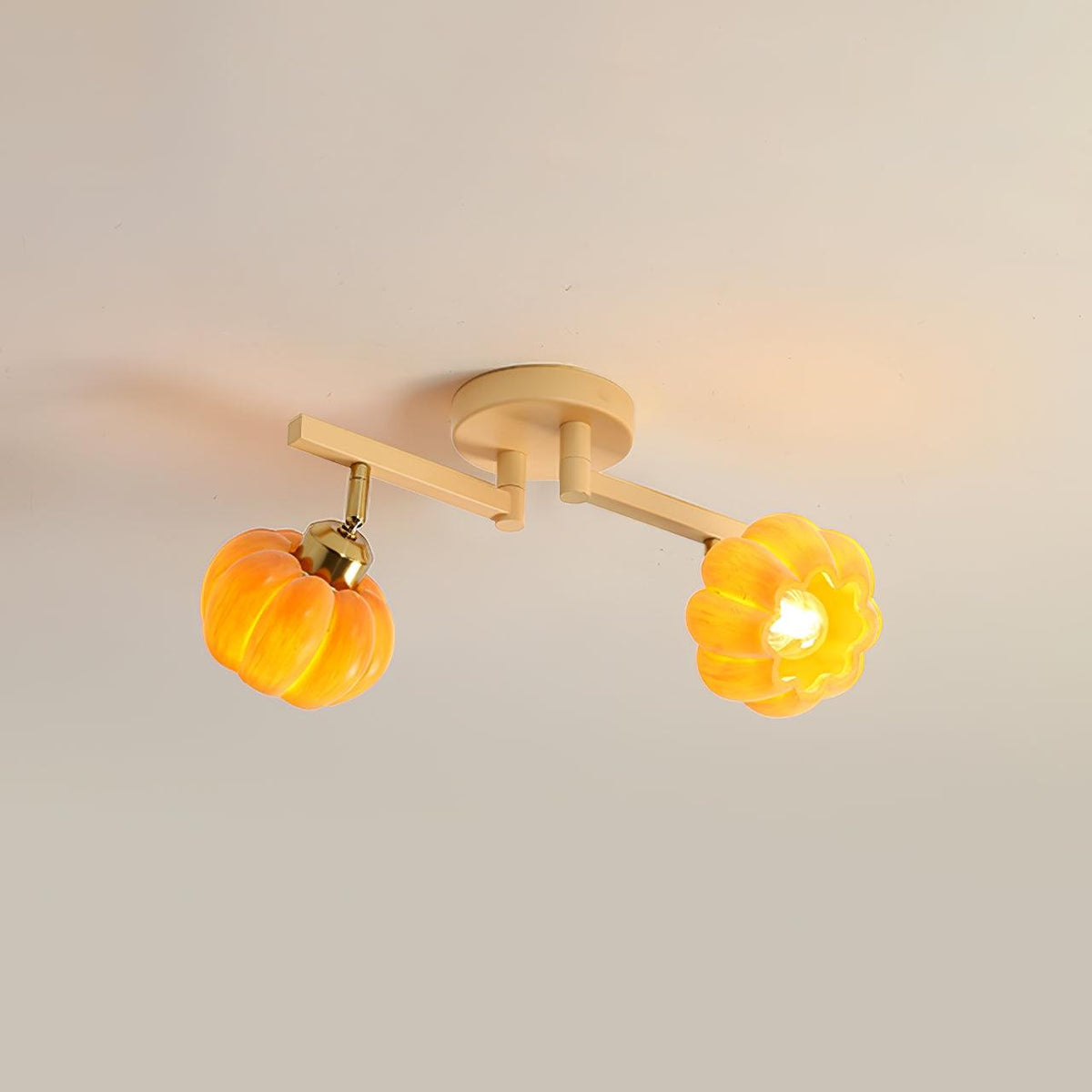 Sororeon Ceiling Light