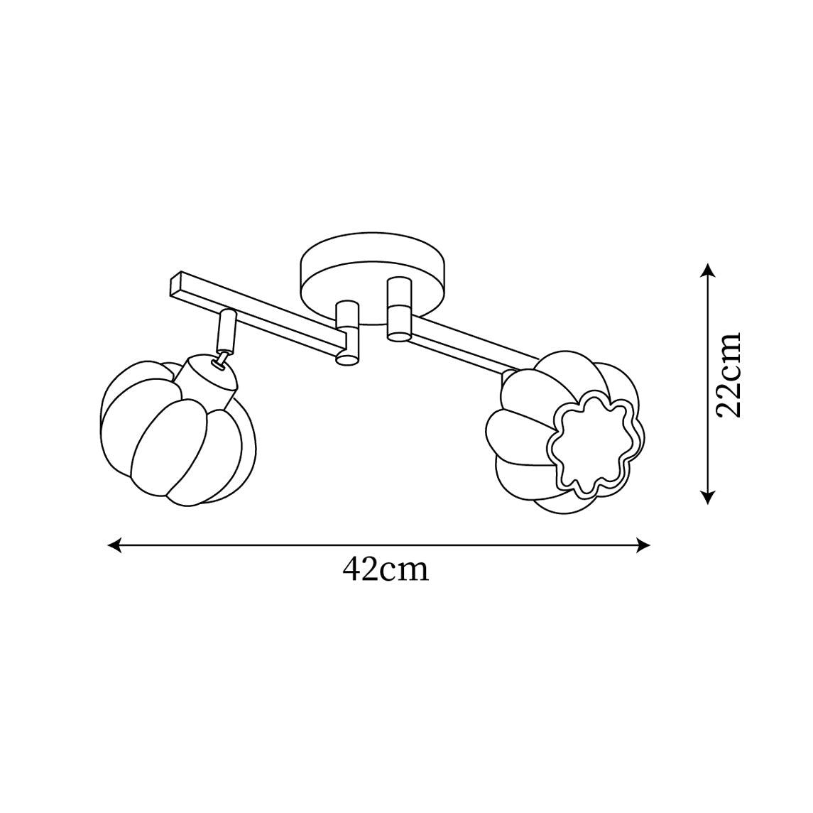 Sororeon Ceiling Light