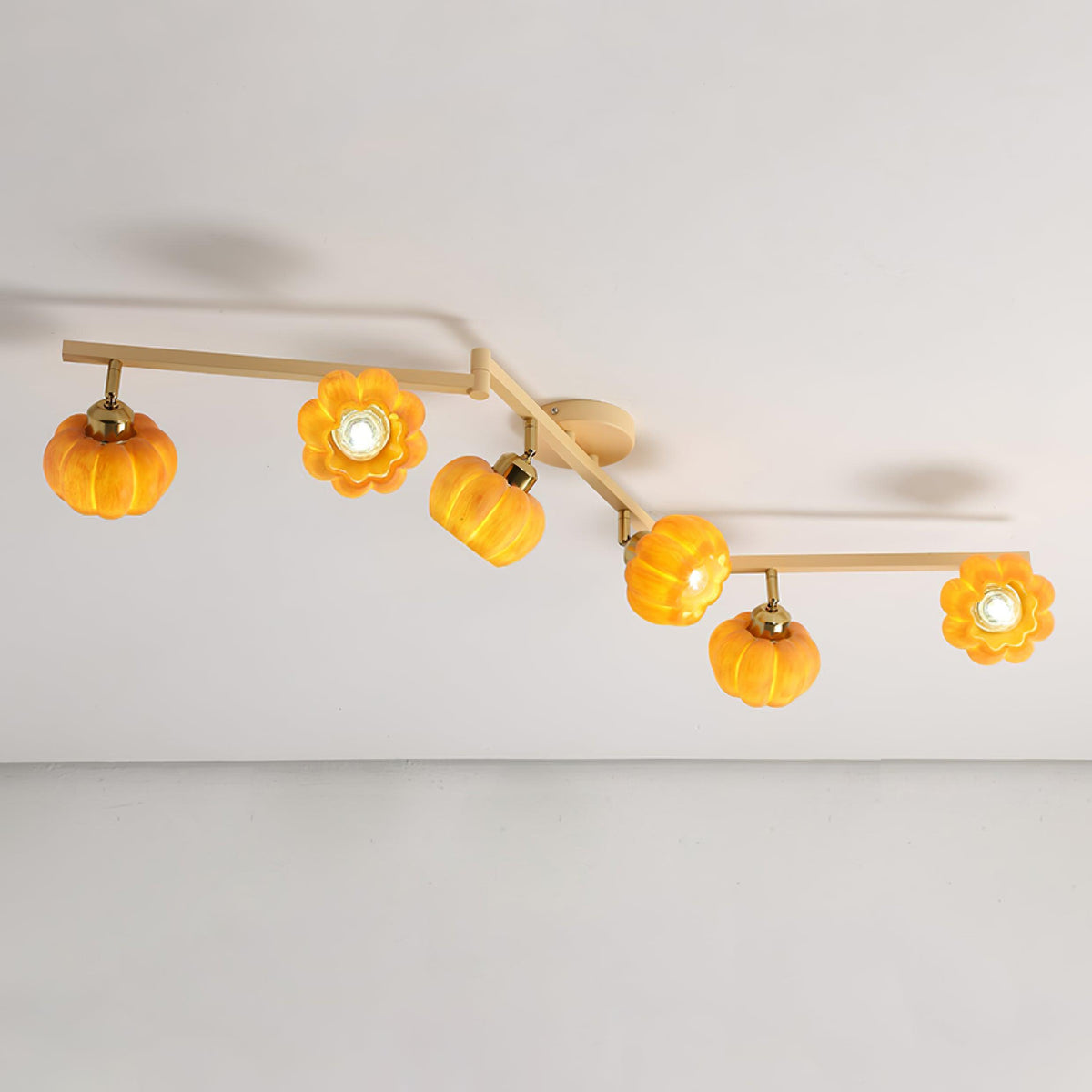 Sororeon Ceiling Light